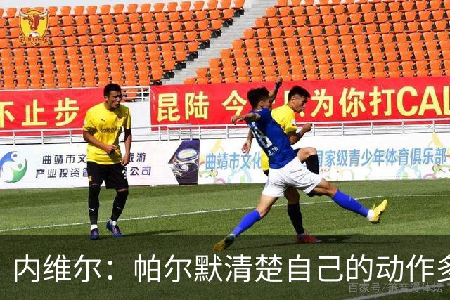 内维尔：帕尔默清楚自己的动作多脏，他的反应看起来很蠢
