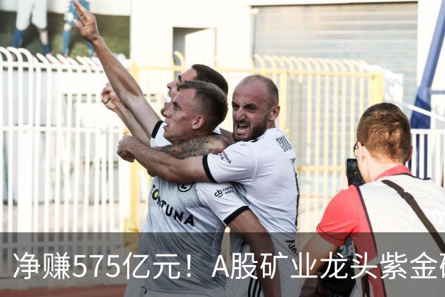 净赚575亿元！A股矿业龙头紫金矿业，前三季度净利大增52%，股价较年内高点回撤逾三成