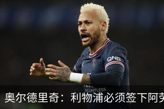 奥尔德里奇：利物浦必须签下阿劳霍