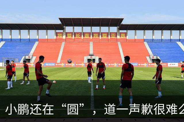 小鹏还在“圆”，道一声歉很难么