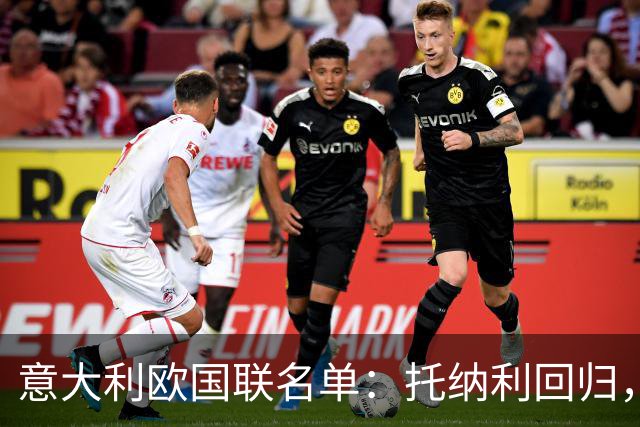 意大利欧国联名单：托纳利回归，卡拉菲奥里在列
