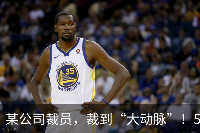 某公司裁员，裁到“大动脉”！5000 社保不肯给员工，转头得拿 8 万求员工私了！