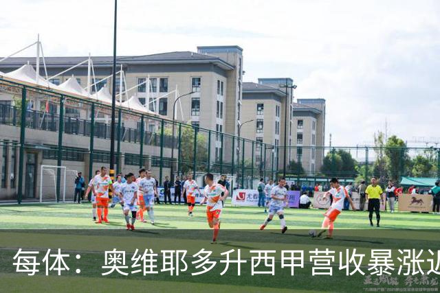 每体：奥维耶多升西甲营收暴涨近5000万欧