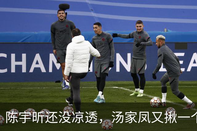 陈宇昕还没凉透，汤家凤又揪一个“精日”人员：竟然还是公司老板
