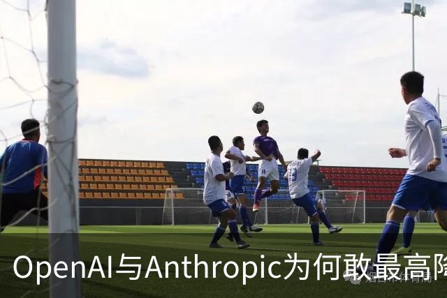 OpenAI与Anthropic为何敢最高降价80%